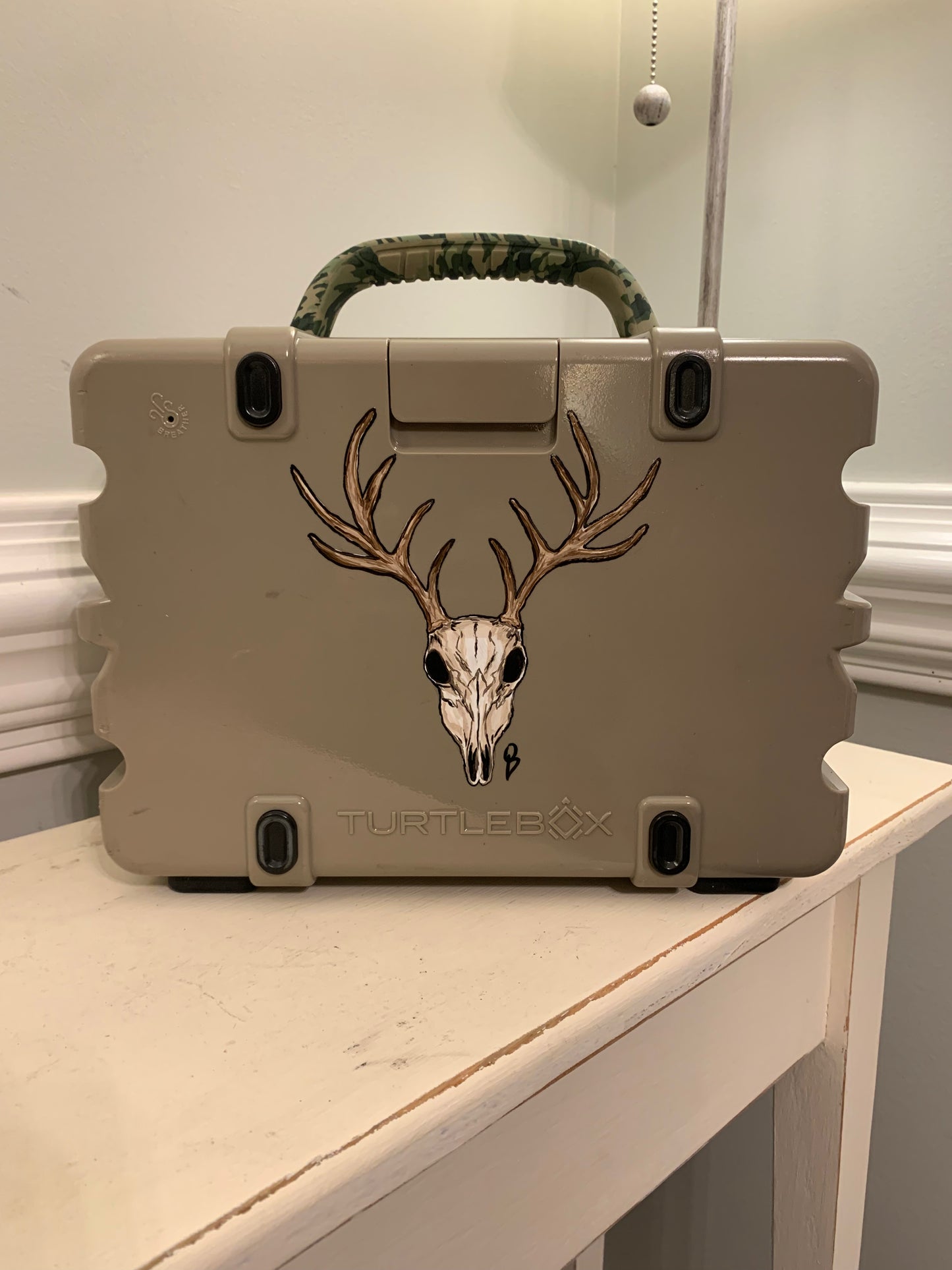 Custom Turtlebox Painting