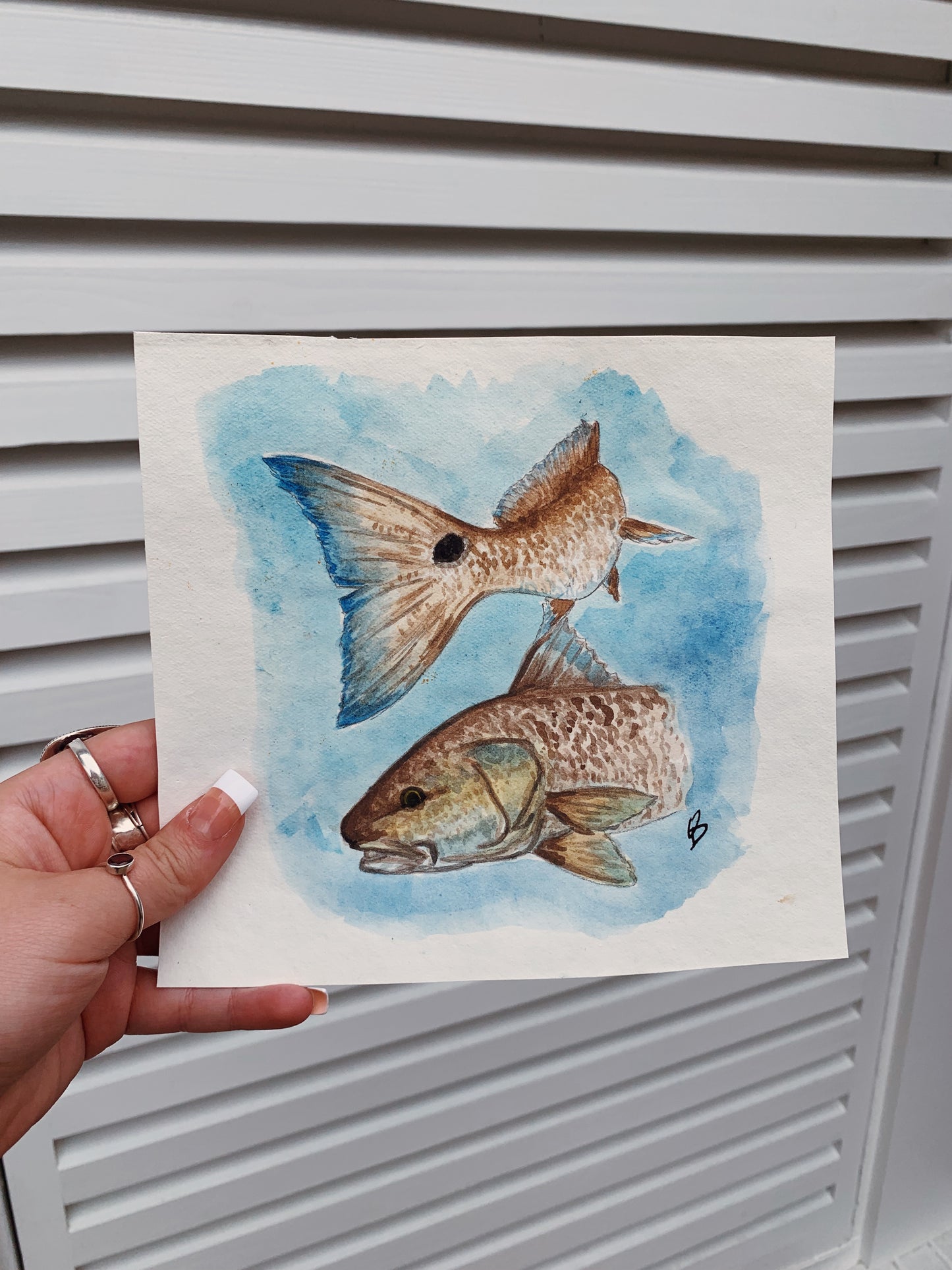 Red Drum Original Watercolor